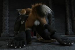 Wolf And Fox furry porn animation