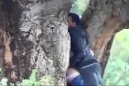Sexy Arab hijab in the forest 2020.mp4